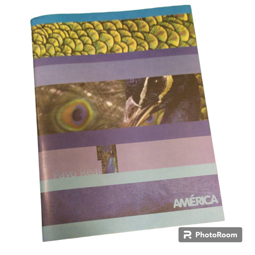 Cuaderno N°1 T/F Gloria-America x 84