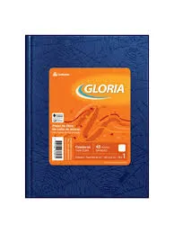 Cuaderno Gloria x 168 T/D Forrado