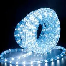 Manguera Luminosa 5m en Blanca Caja
