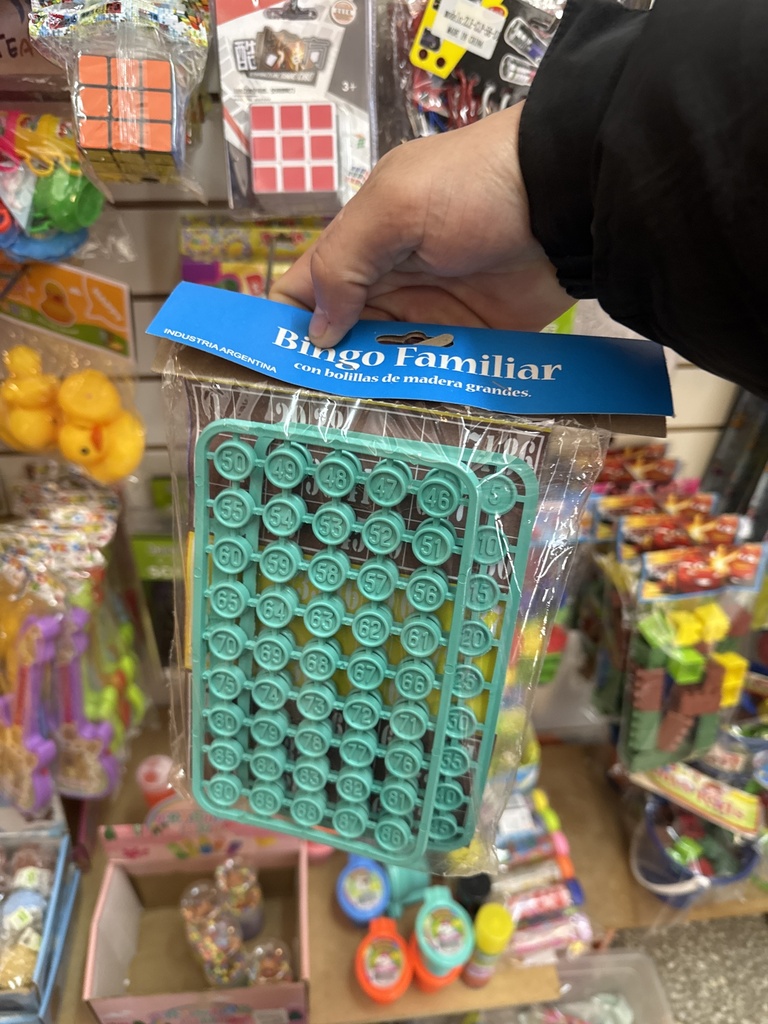 Bingo Familiar Plastico
