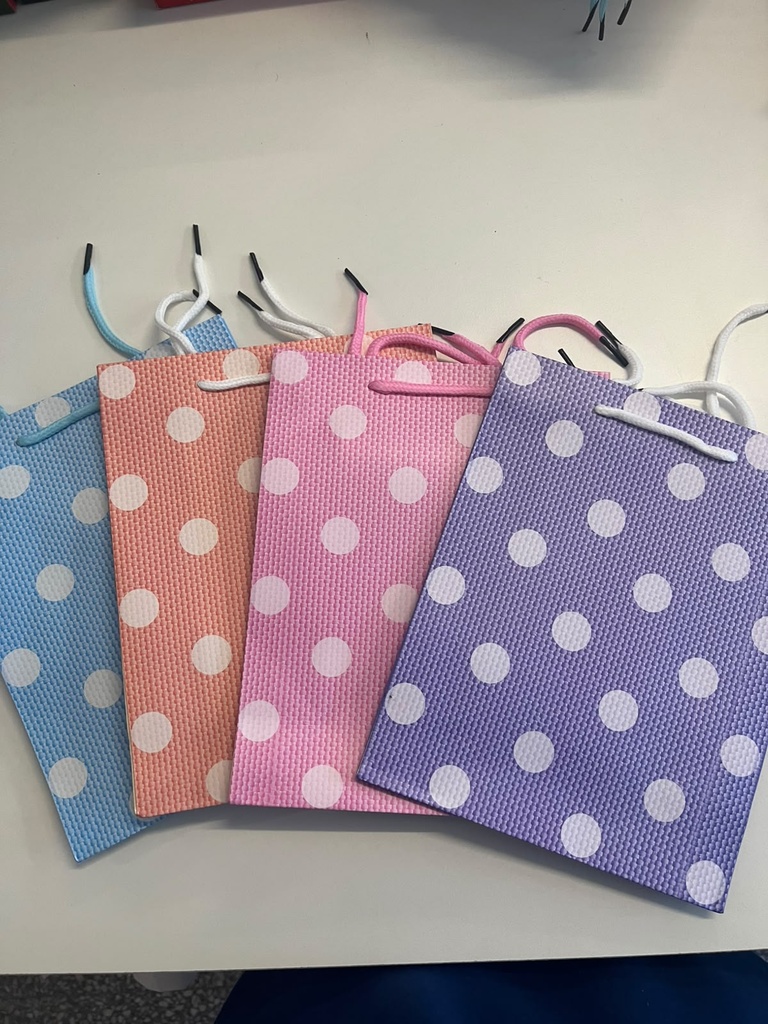 [FX-2274010] Bolsa de regalo   22740-10